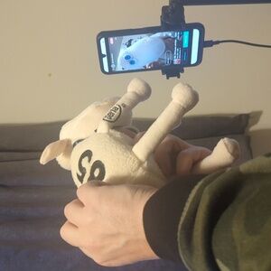 #85 - Official Serta Sheep